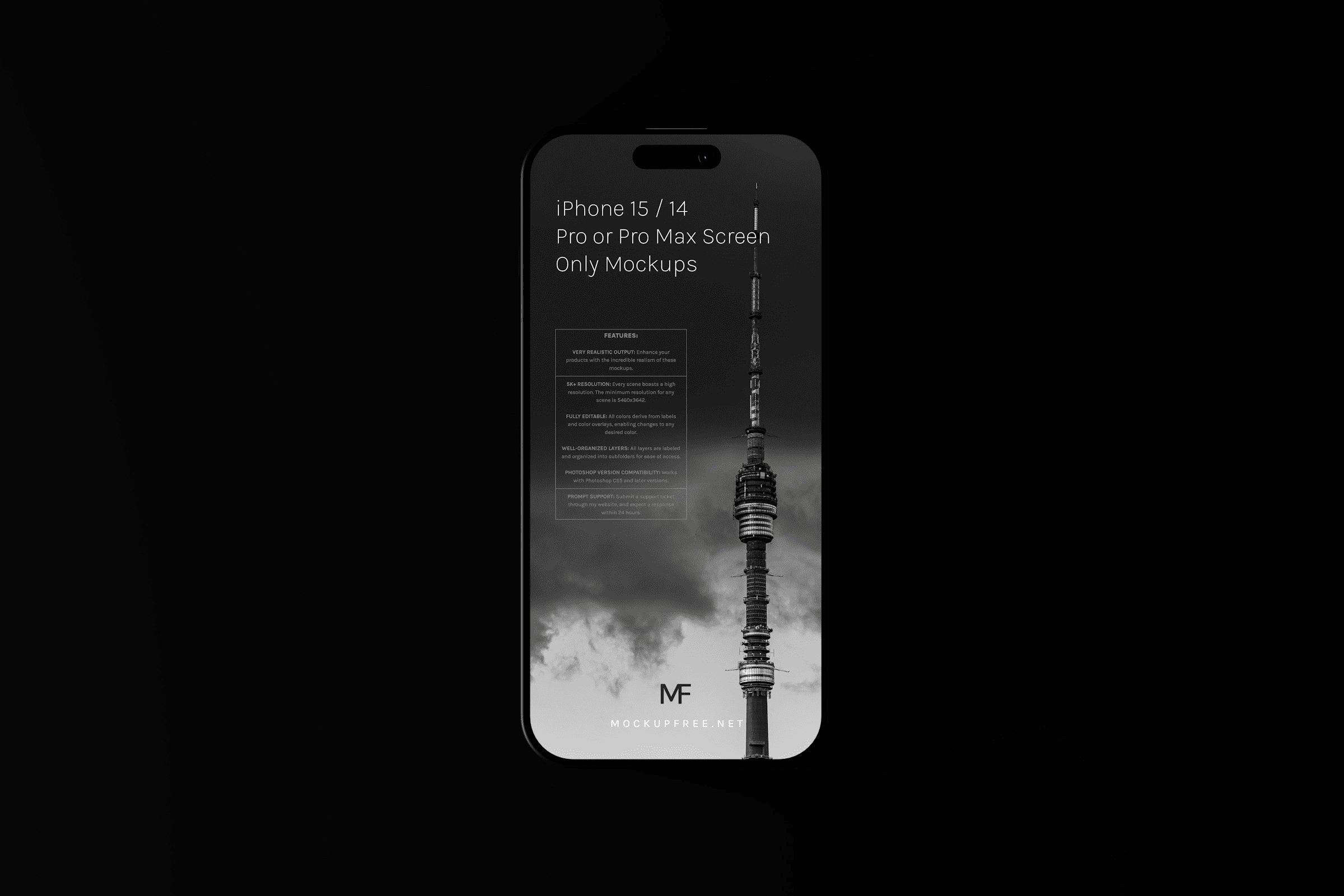 project-single