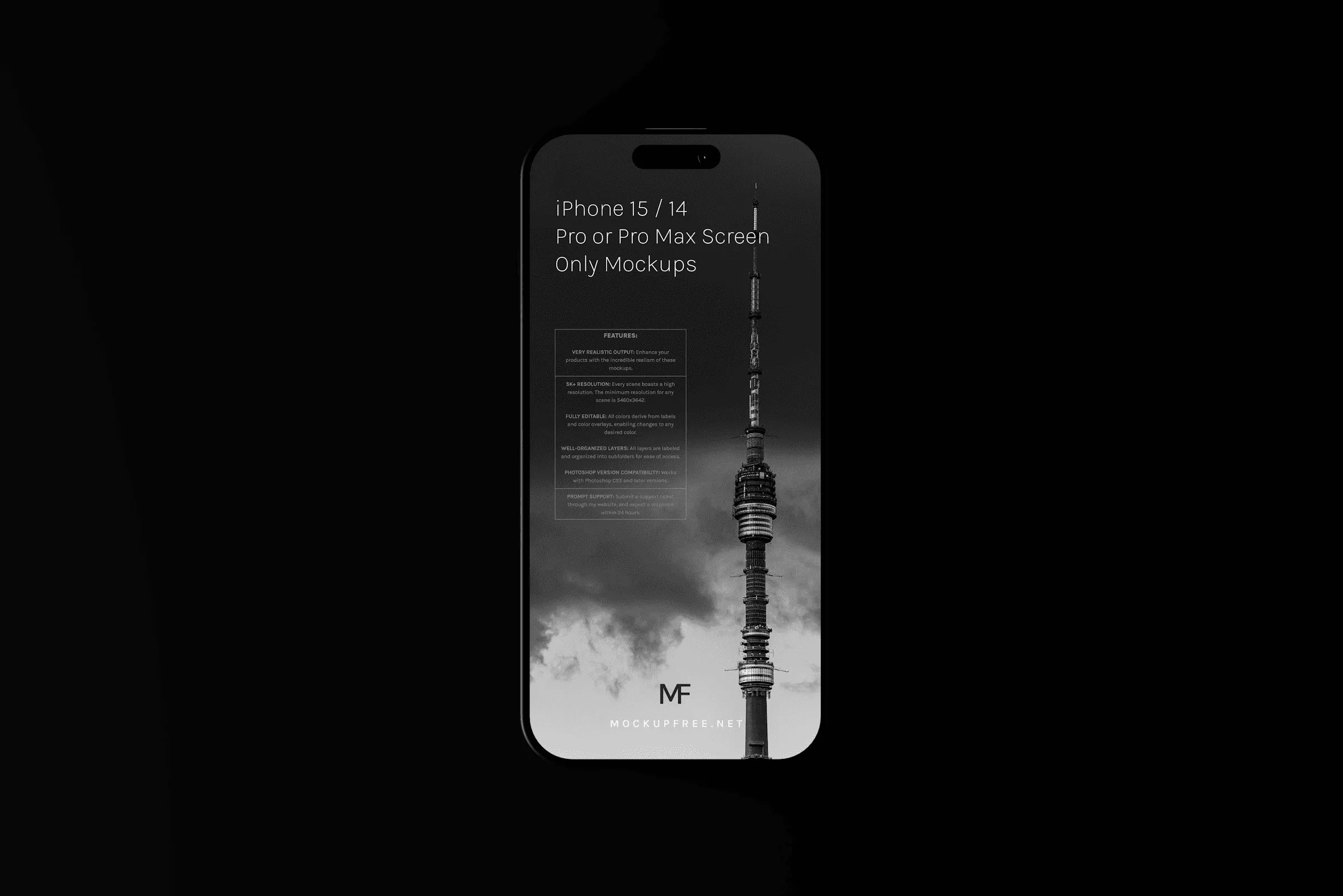 project-single